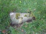 image of grave number 631705